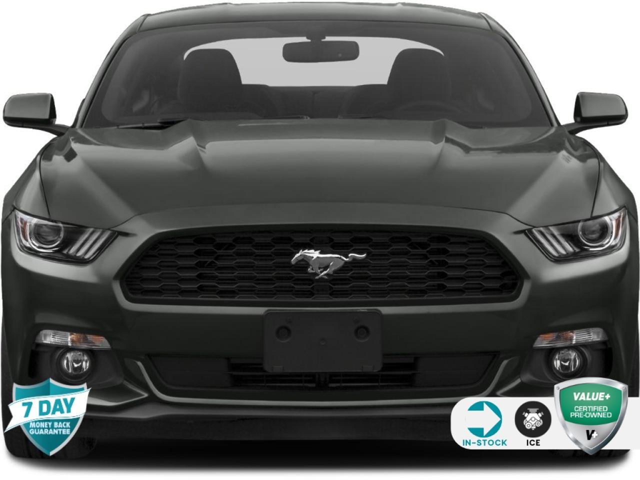Used 2017 Ford Mustang EcoBoost Premium PREMIUM PKG! LEATHER AUTO CERTIFIED for sale in Hamilton, ON