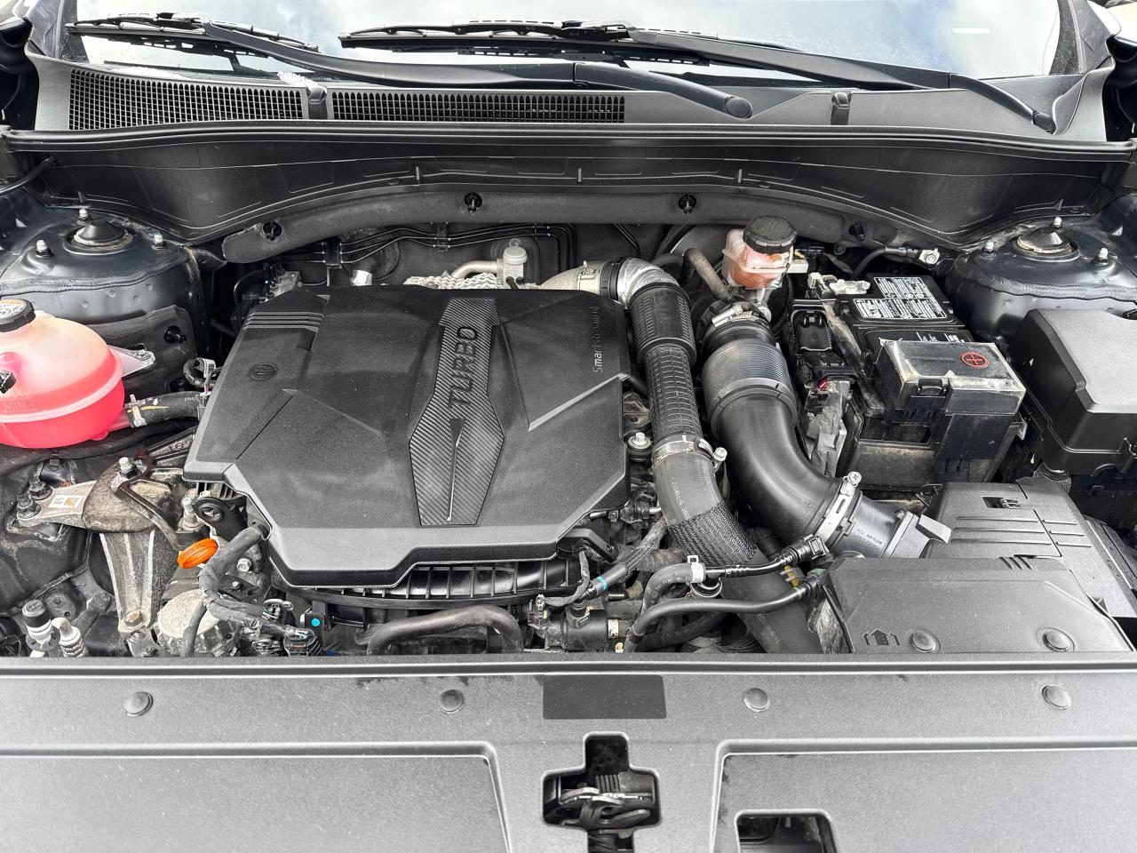 2022 Hyundai Santa Fe Ultimate Calligraphy Photo