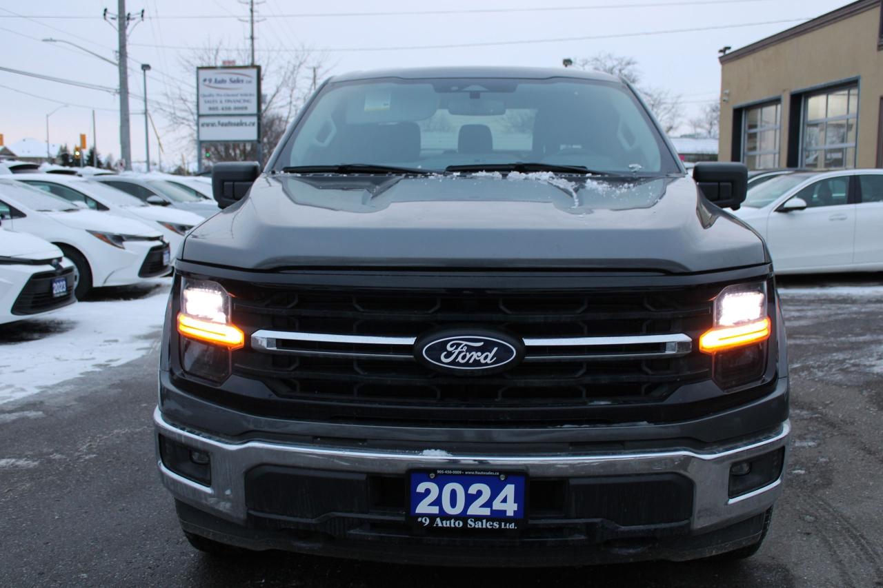 2024 Ford F-150 XLT 4WD SuperCrew 5.5' Box Photo