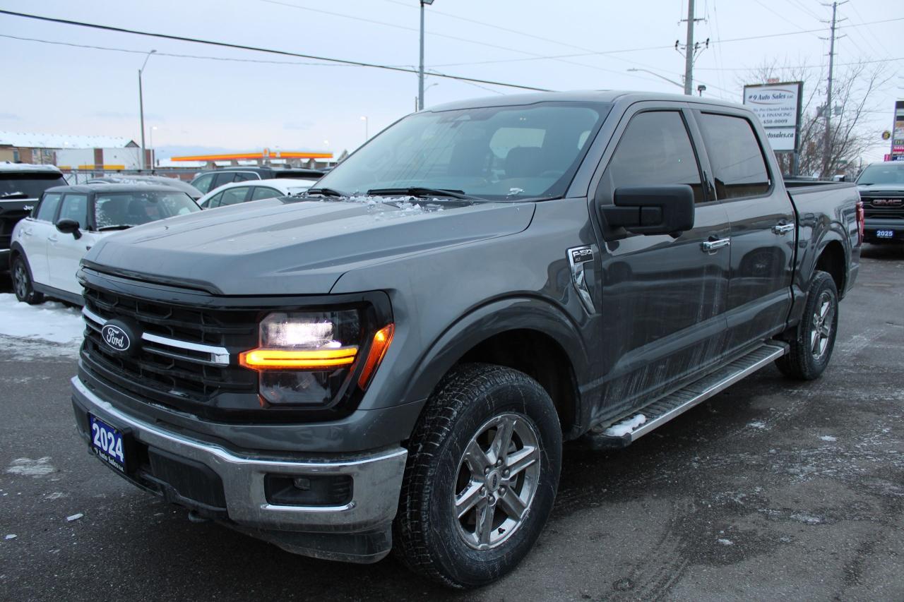 2024 Ford F-150 XLT 4WD SuperCrew 5.5' Box Photo