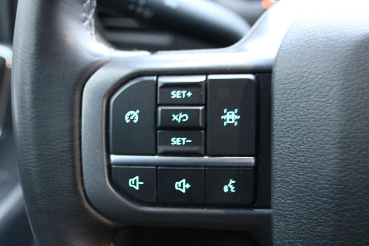 2024 Ford F-150 XLT 4WD SuperCrew 5.5' Box Photo