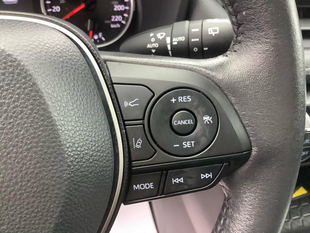 2022 Toyota RAV4 XLE XLE Photo