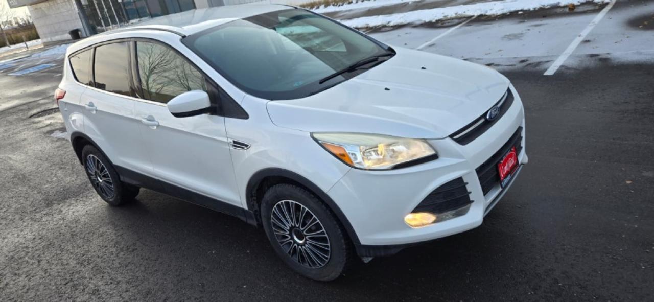 2015 Ford Escape SE 4dr Front-wheel Drive Automatic Photo3