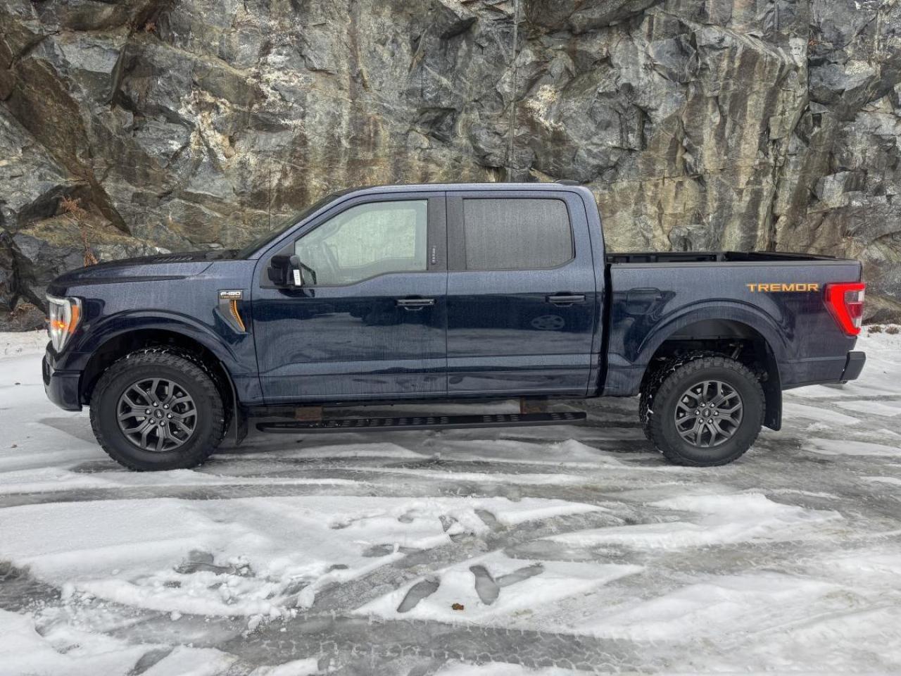 2022 Ford F-150 Tremor 4WD SuperCrew 5.5' Box Photo
