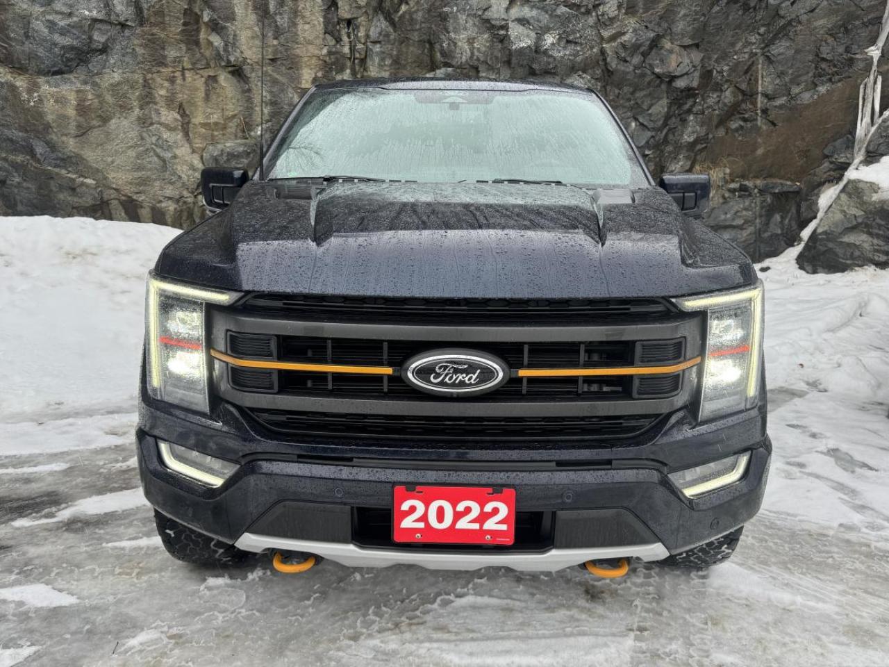 2022 Ford F-150 Tremor 4WD SuperCrew 5.5' Box Photo