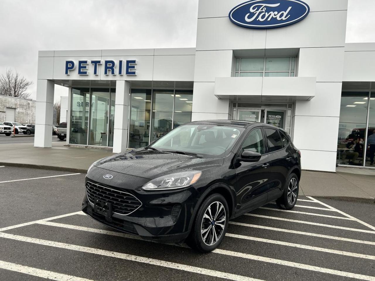 Used 2021 Ford Escape SE for sale in Kingston, ON