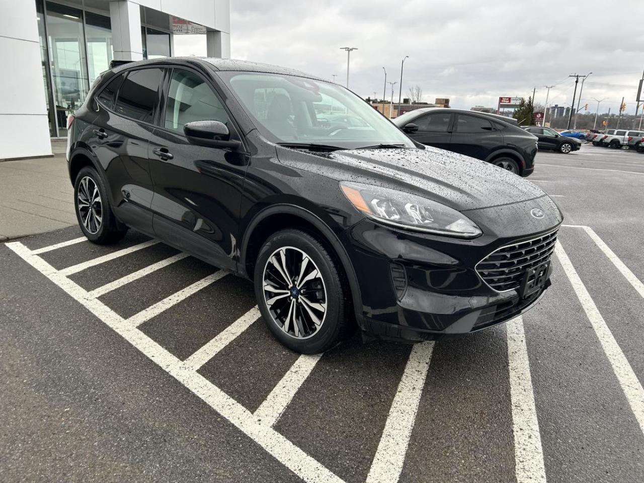 2021 Ford Escape SE Photo2