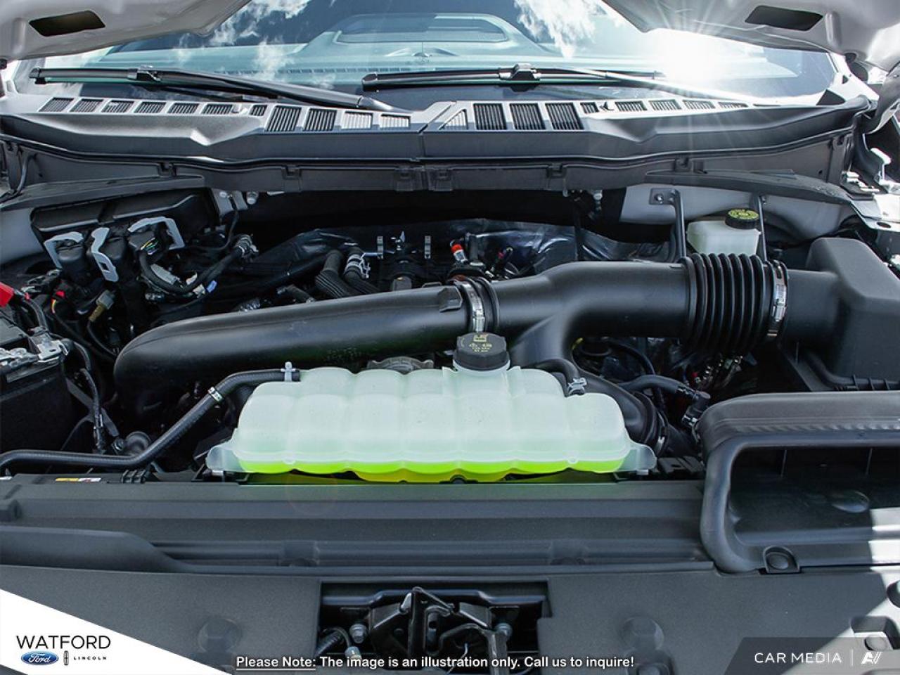 2025 Ford F-150 XLT Photo