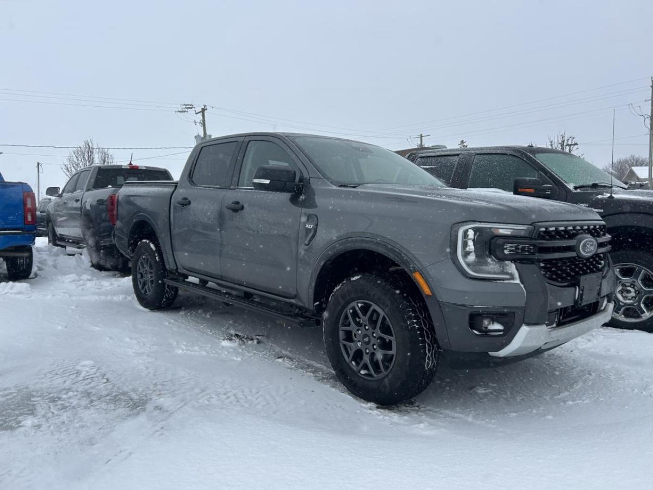 Used 2024 Ford Ranger XLT 4WD SuperCrew 5' Box for sale in Watford, ON