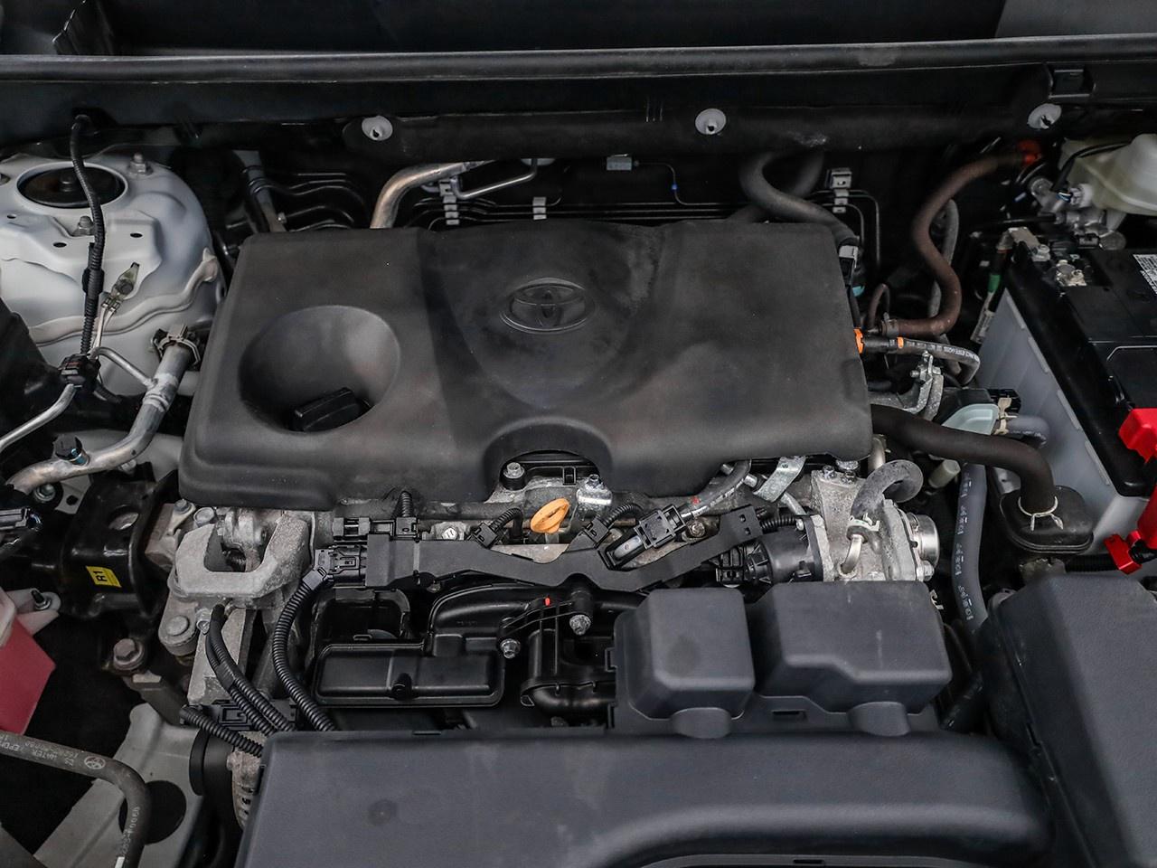 2024 Toyota RAV4 LE Photo4