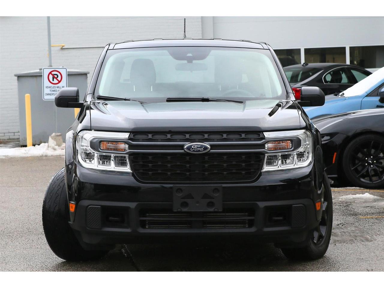 2024 Ford Maverick XLT AWD FX4 | 8'' Touch Screen| Photo