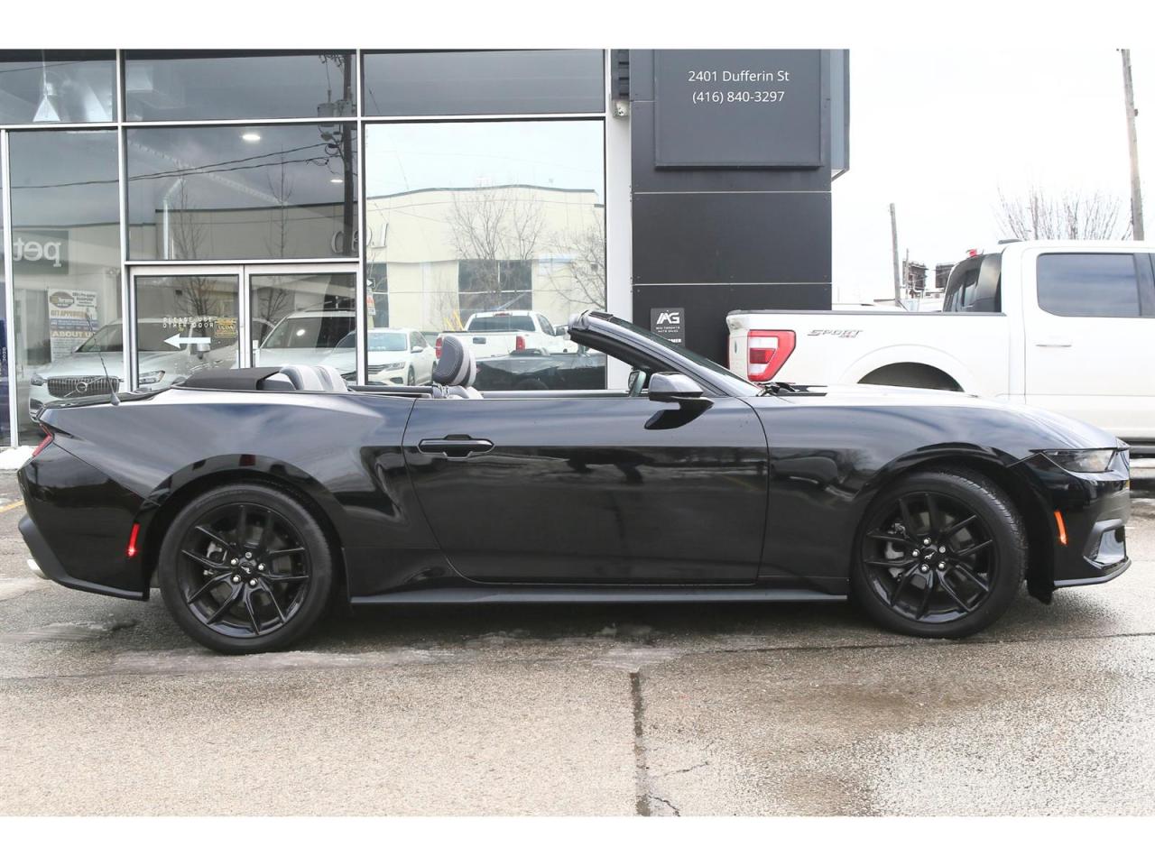 2025 Ford Mustang EcoBoost Premium Convertible Photo