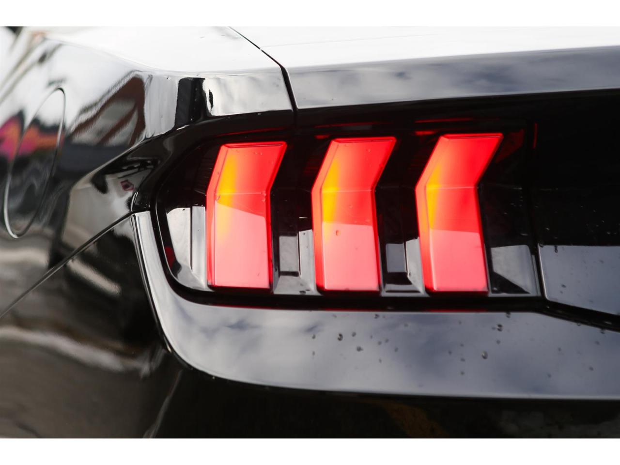 2025 Ford Mustang EcoBoost Premium Convertible Photo