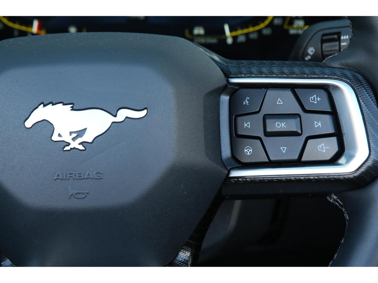 2025 Ford Mustang EcoBoost Premium Convertible Photo