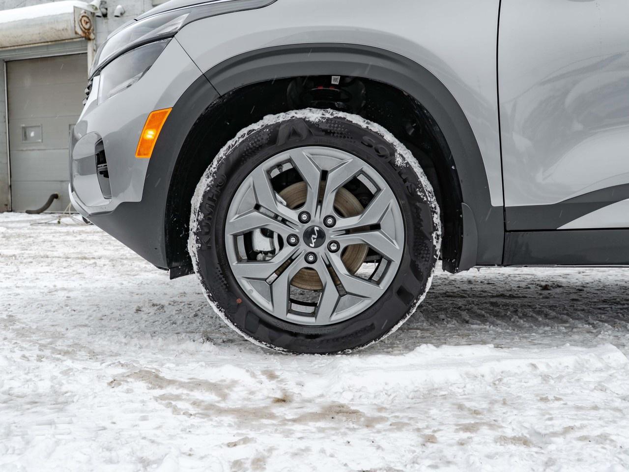 2026 Kia Seltos EX AWD Photo