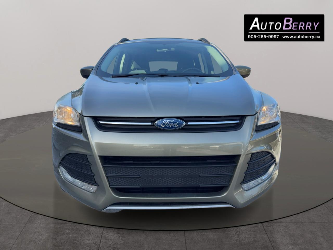 2013 Ford Escape SE Photo