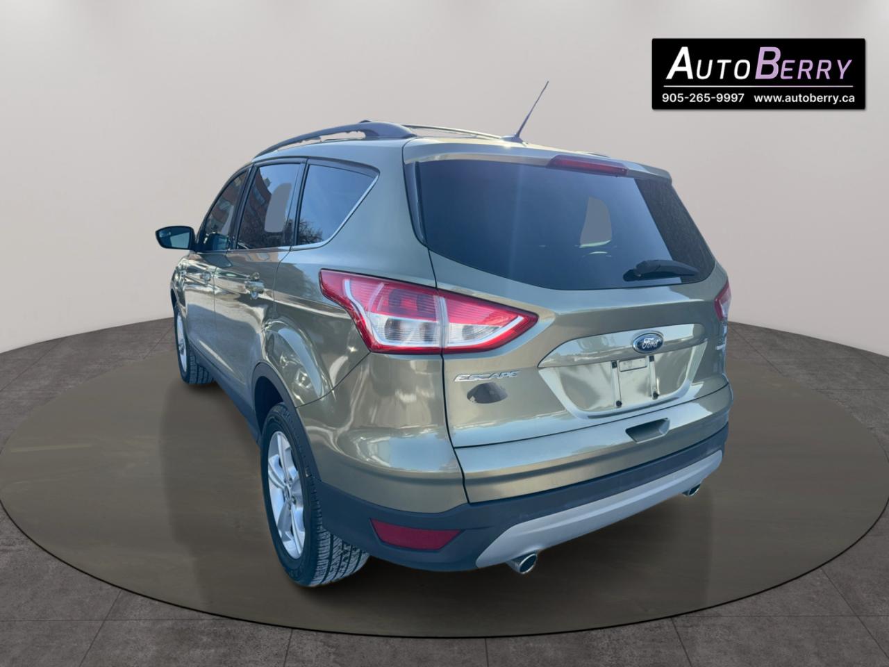 2013 Ford Escape SE Photo