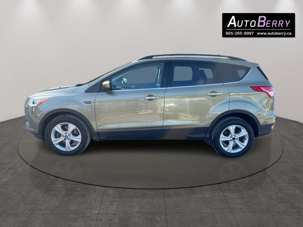 2013 Ford Escape SE Photo