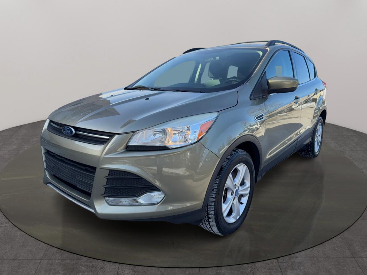 2013 Ford Escape SE Photo3