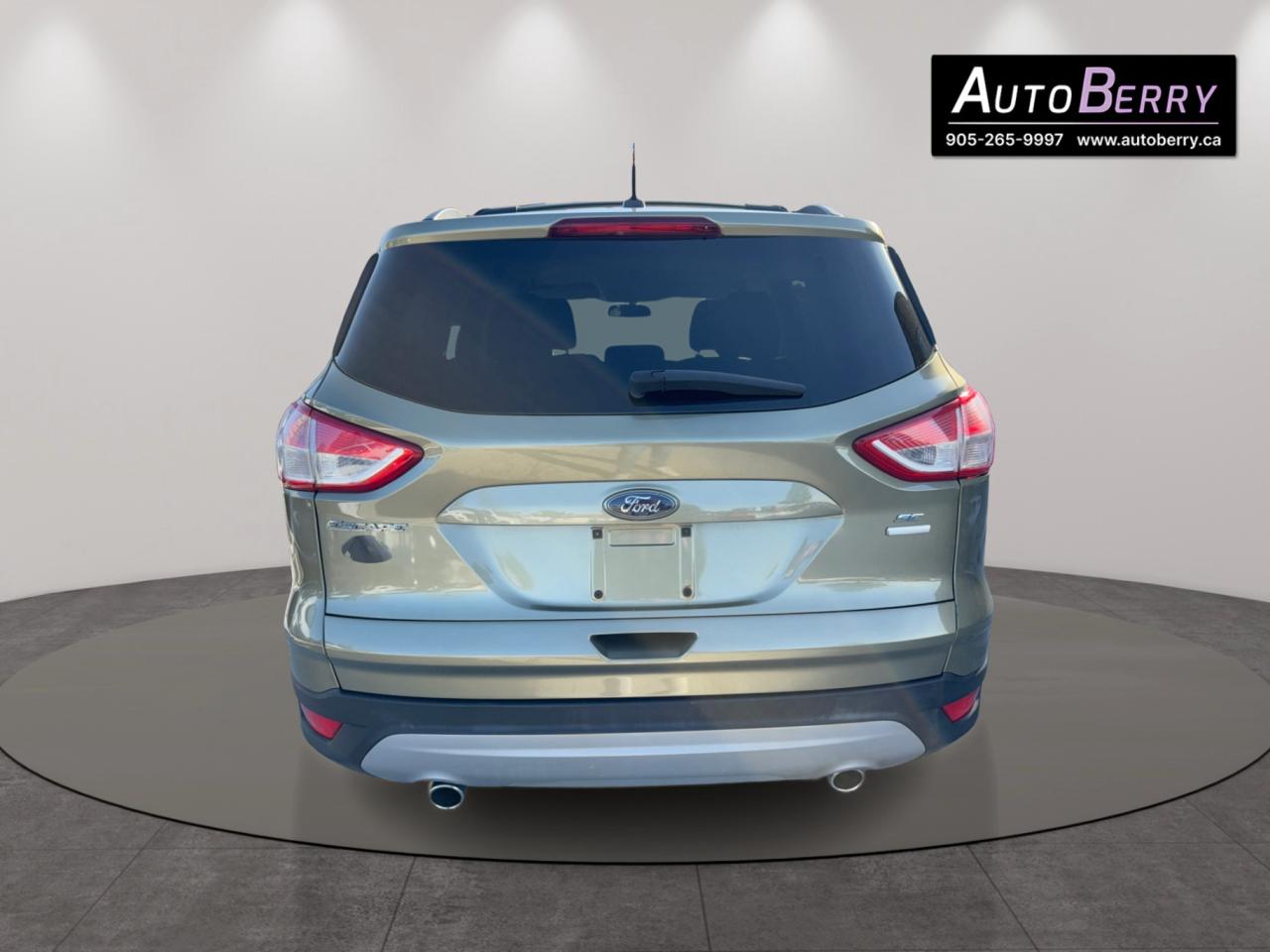2013 Ford Escape SE Photo