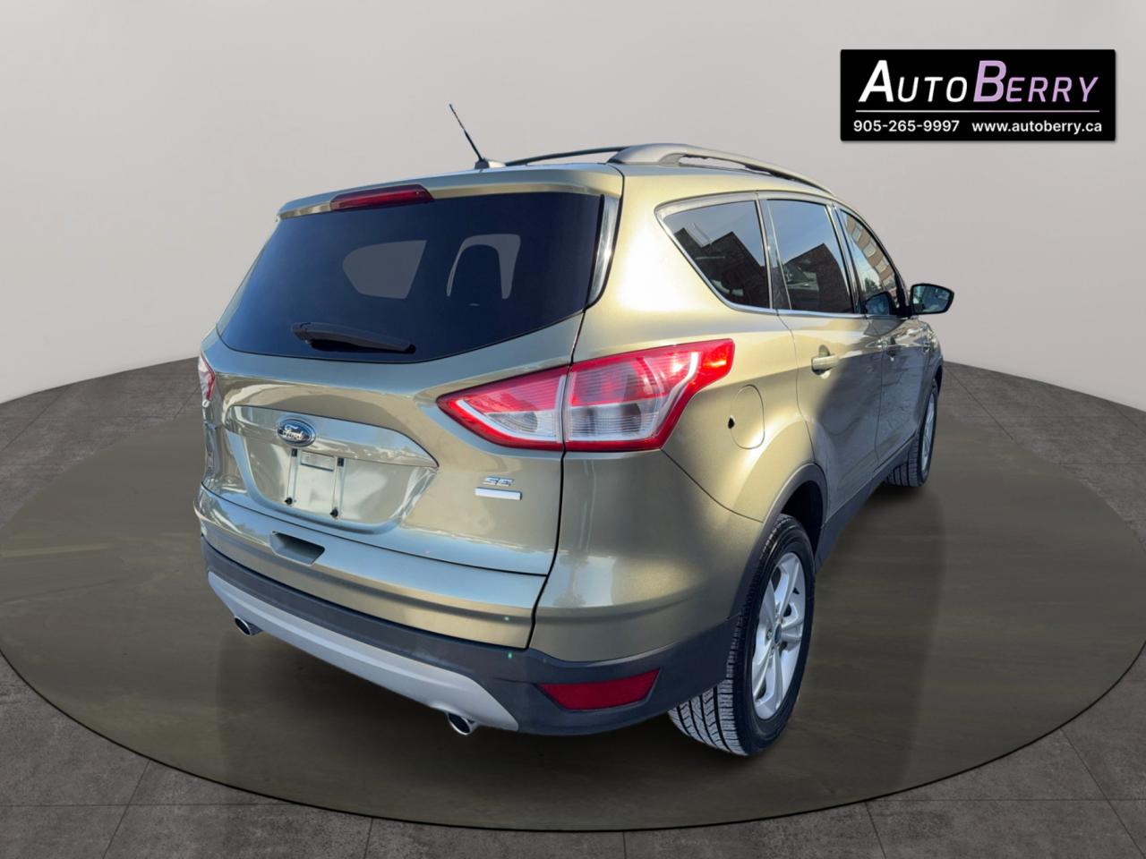 2013 Ford Escape SE Photo