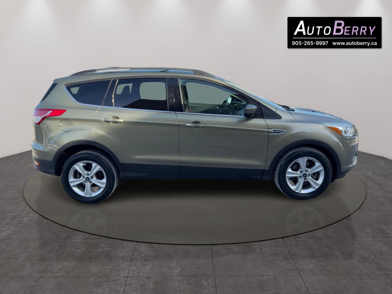 2013 Ford Escape SE Photo