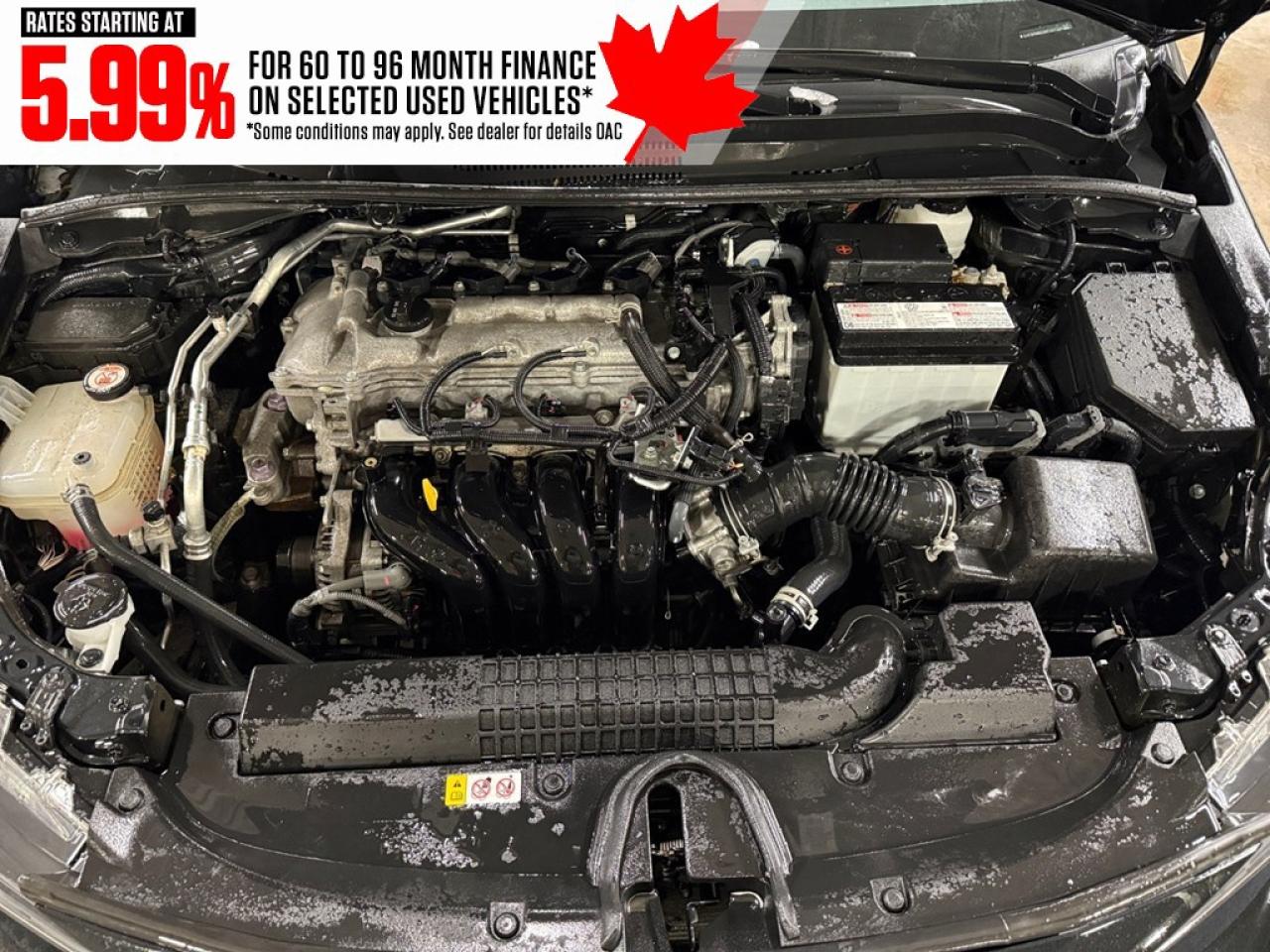 2022 Toyota Corolla LE CVT Photo