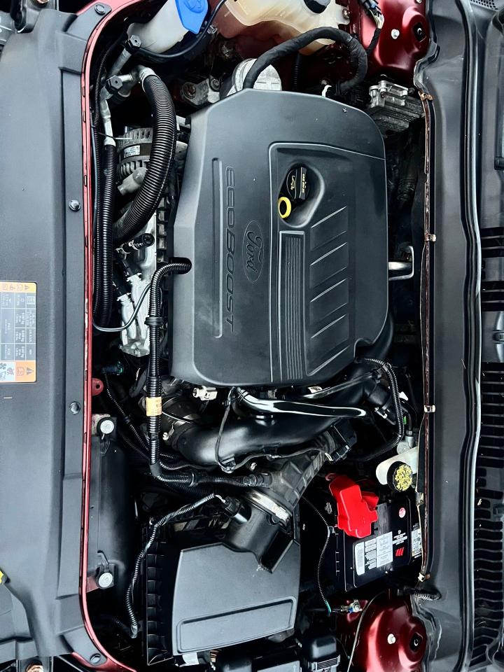 2014 Ford Fusion SE Photo