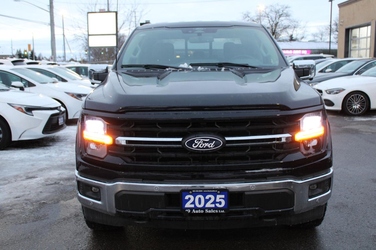 2025 Ford F-150 XLT Photo