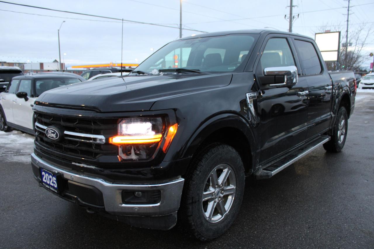 2025 Ford F-150 XLT Photo