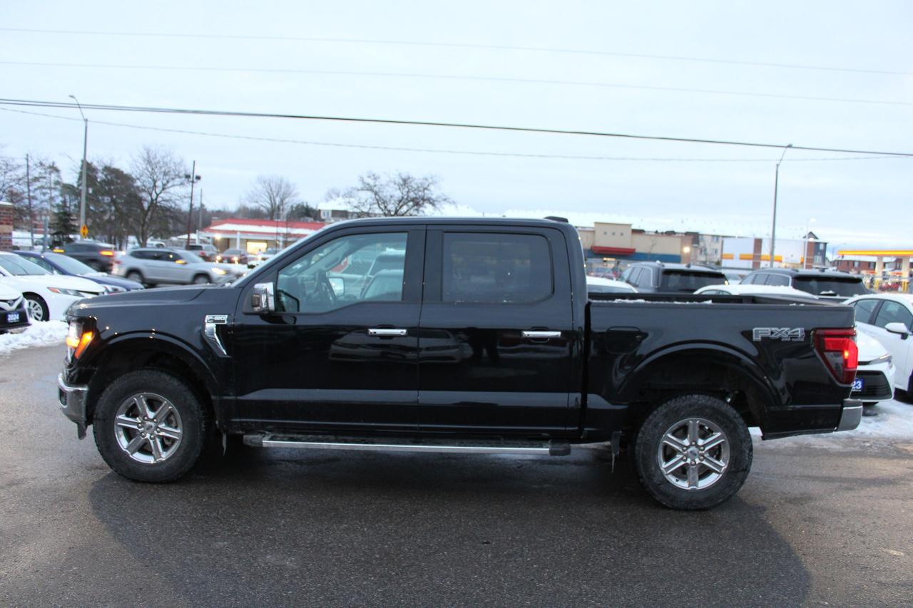2025 Ford F-150 XLT Photo