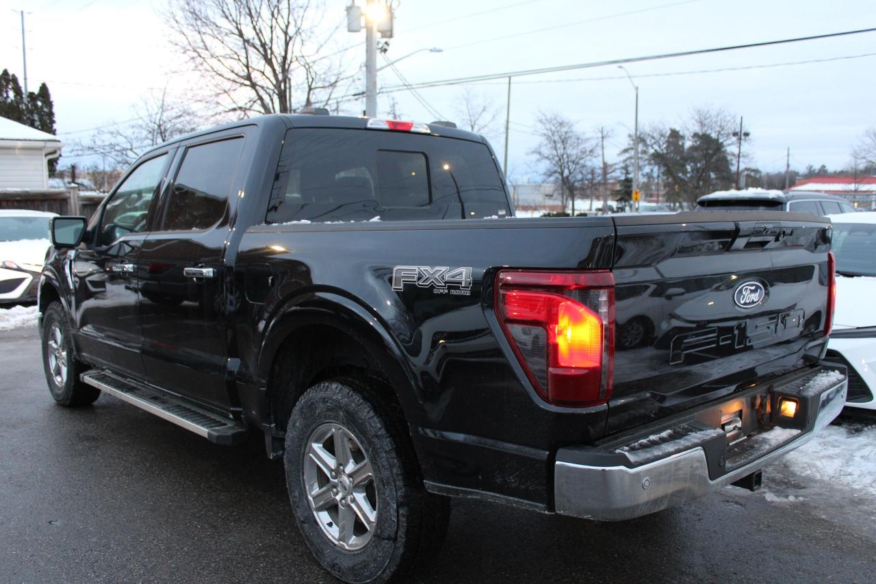 2025 Ford F-150 XLT Photo