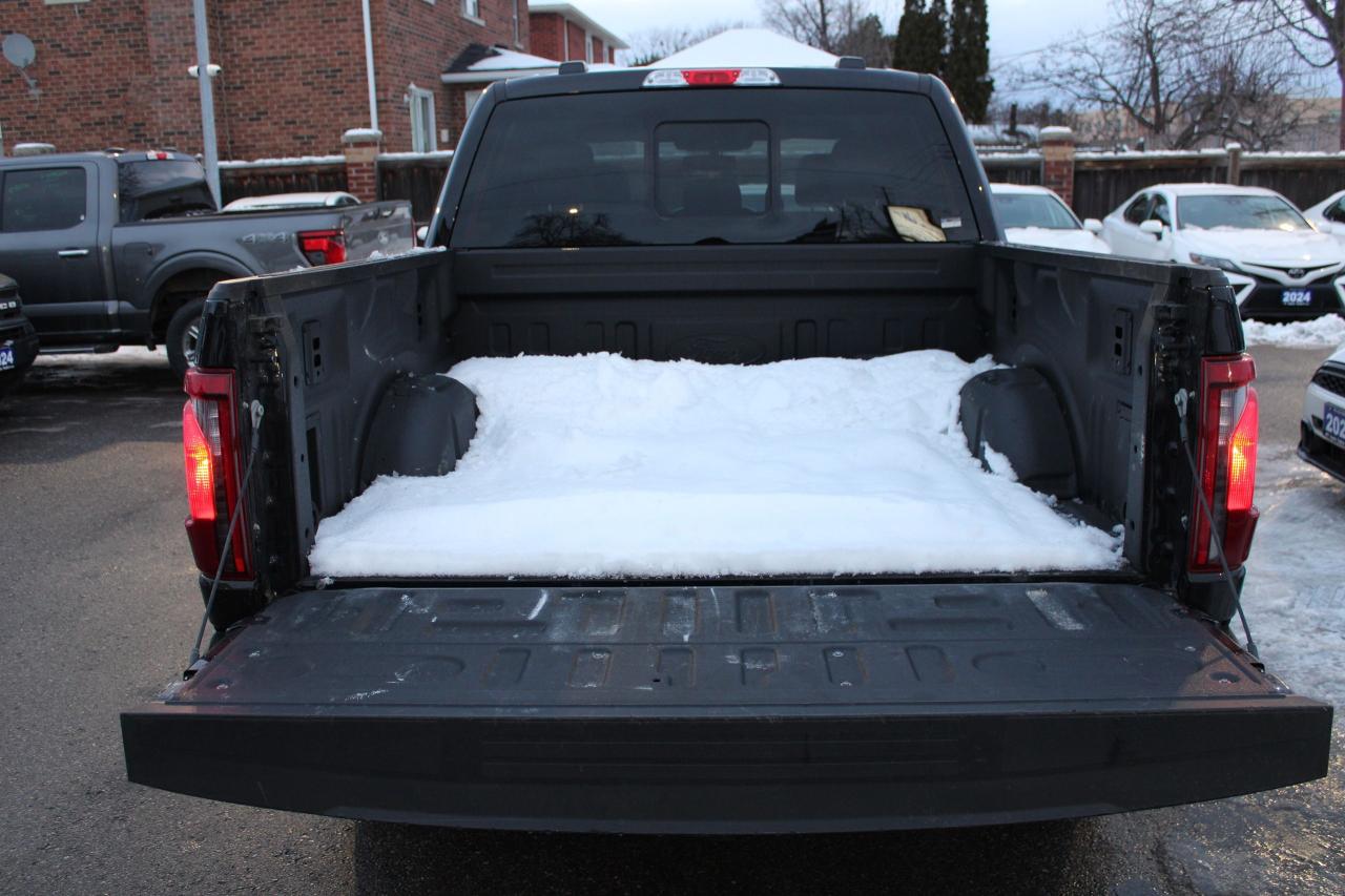 2025 Ford F-150 XLT Photo