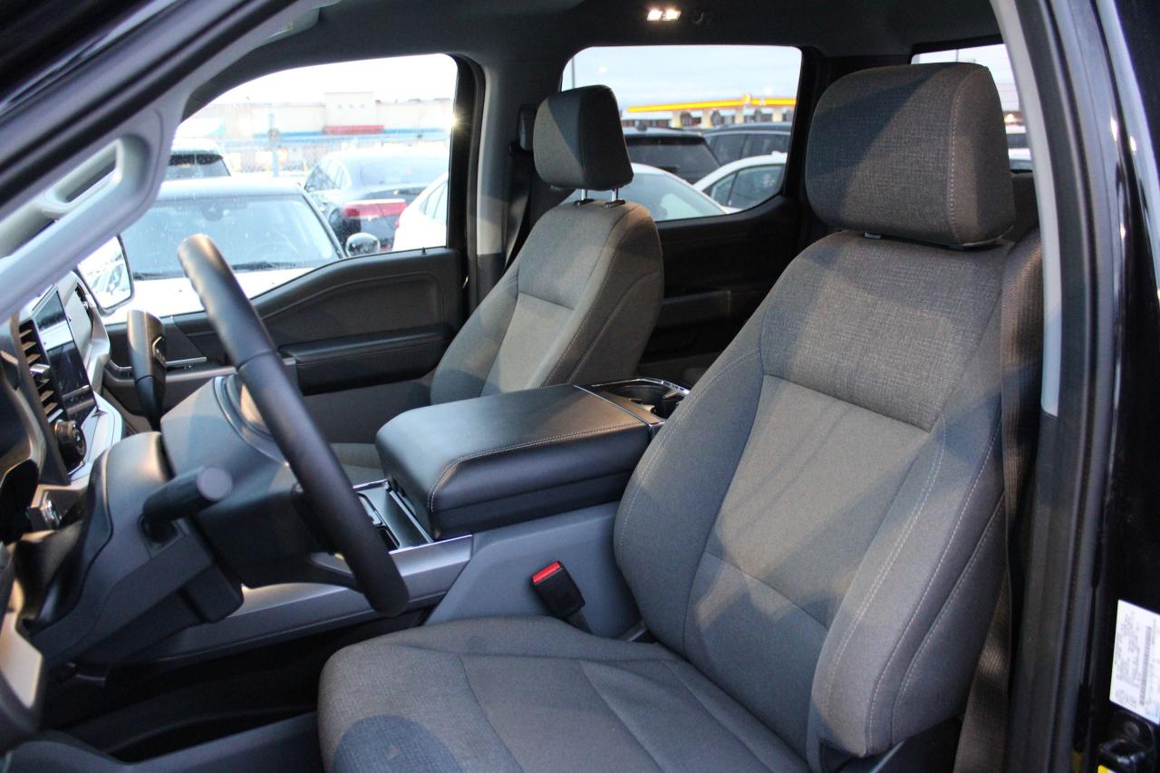 2025 Ford F-150 XLT Photo