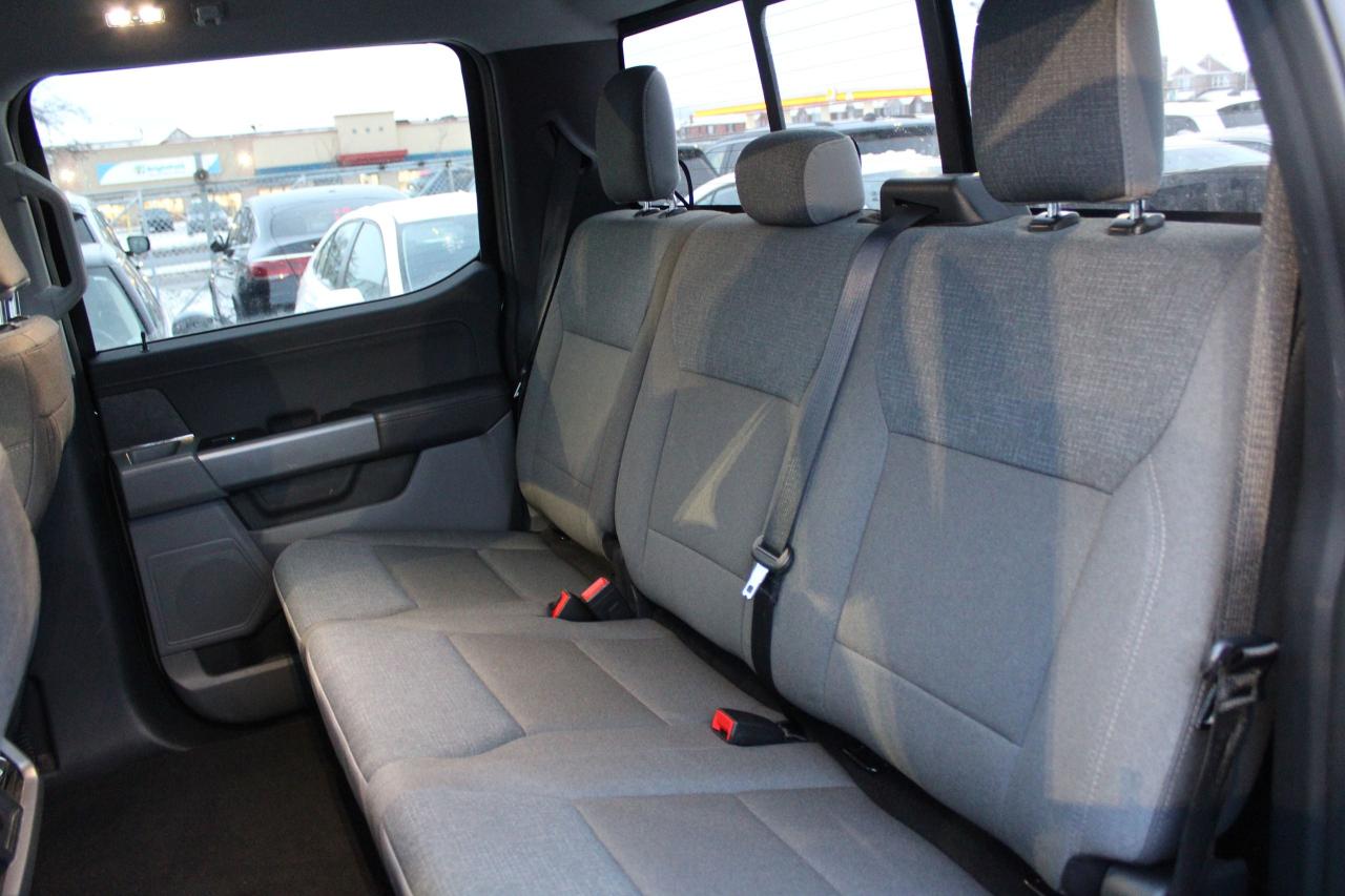 2025 Ford F-150 XLT Photo