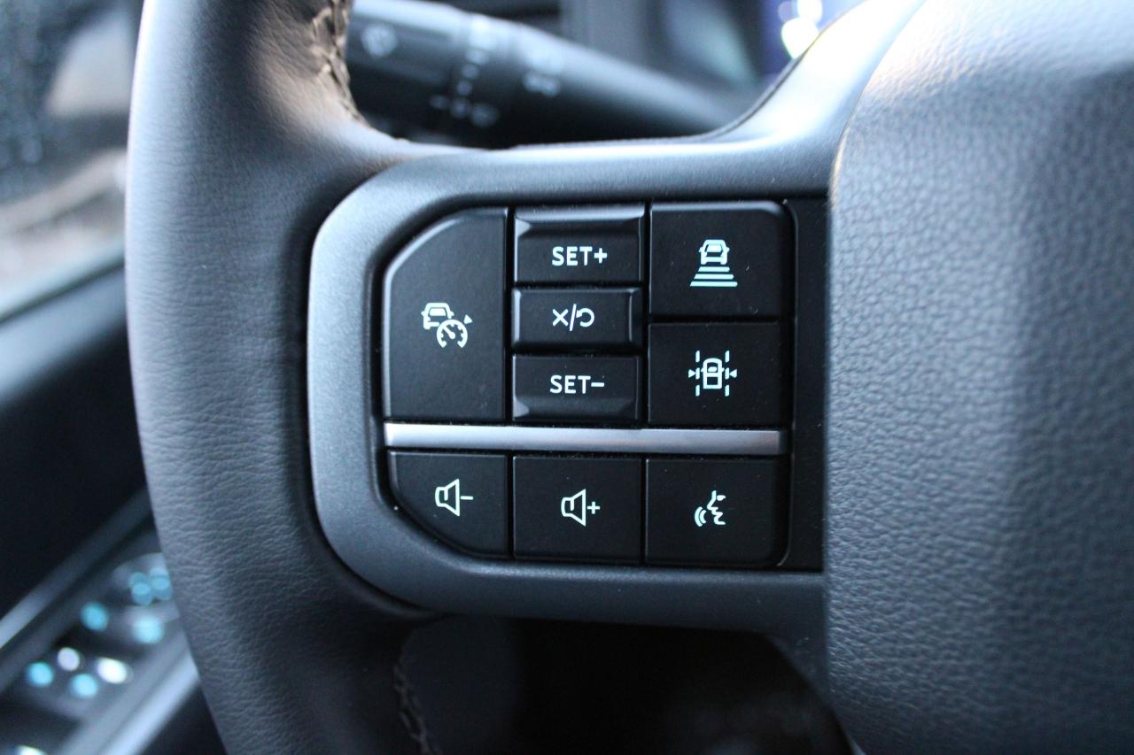 2025 Ford F-150 XLT Photo