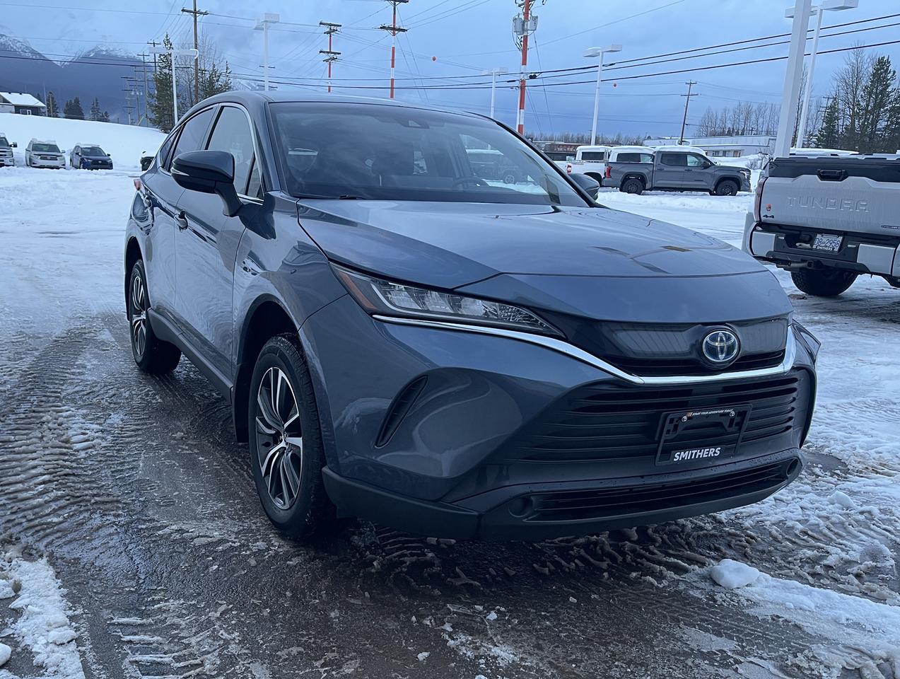 2024 Toyota Venza LE Photo1