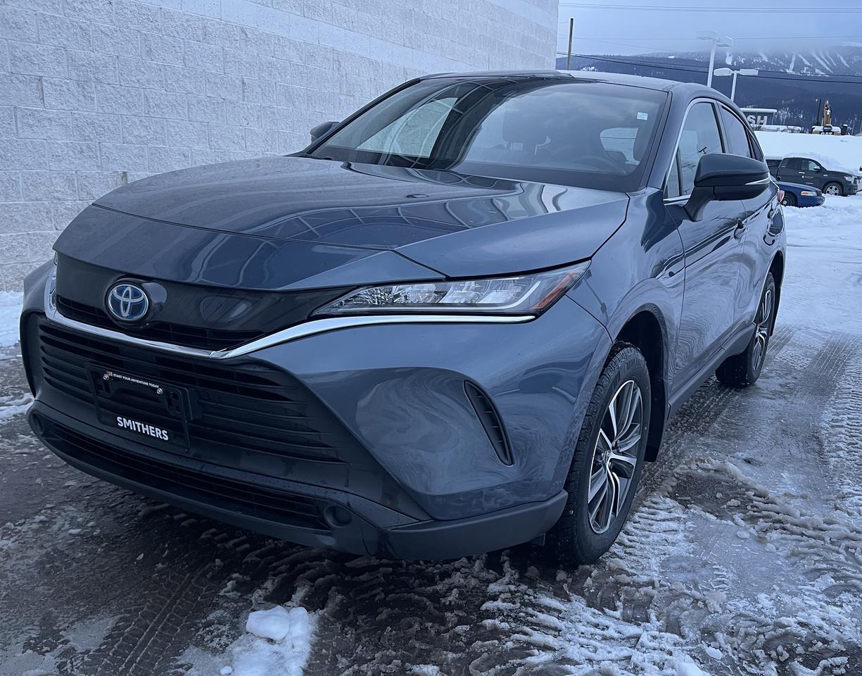 2024 Toyota Venza LE Photo0