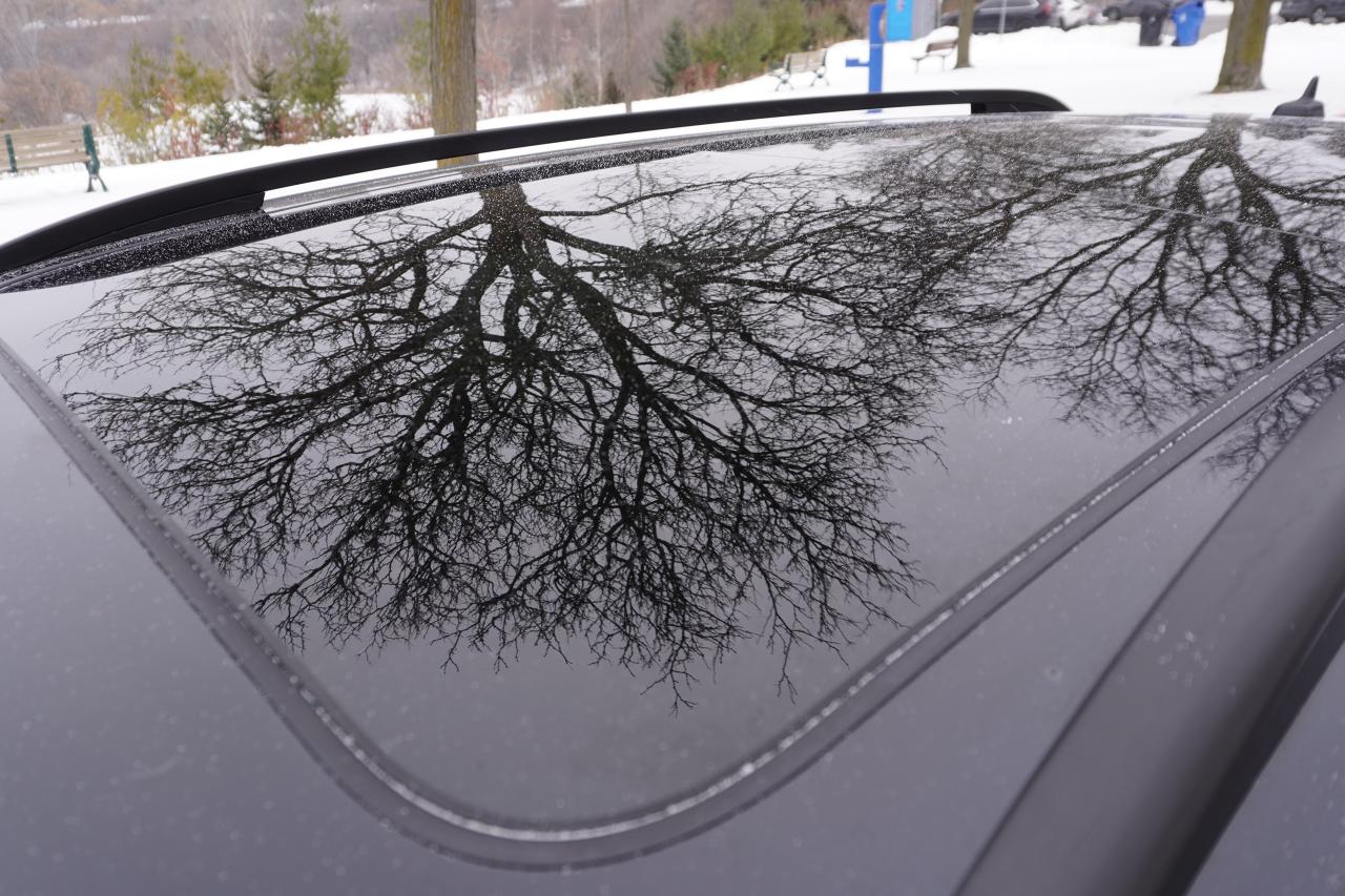 2017 Volkswagen Golf SportWagen 1 OWNER / MANUAL / LEATHER / PANOROOF / VERSATILE Photo