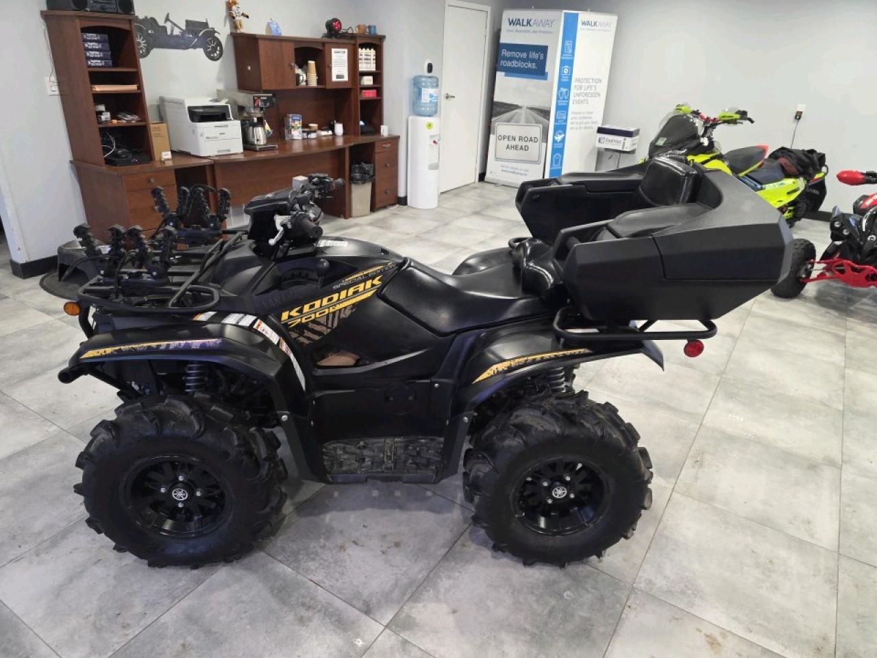 2020 Yamaha Kodiak KODIAK SPECIAL EDITION 700 Photo