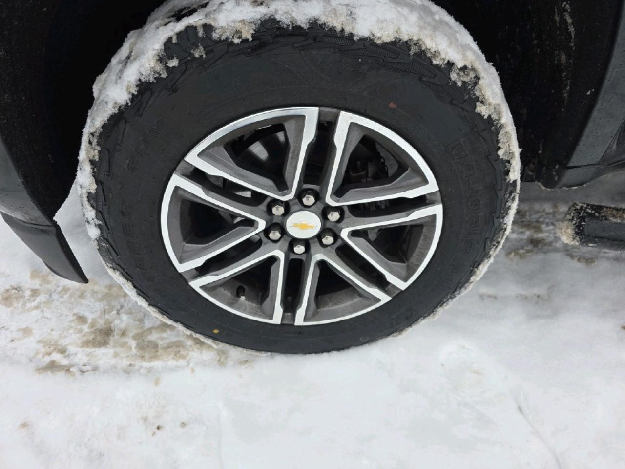 2019 Chevrolet Colorado CREW CAB WT Photo