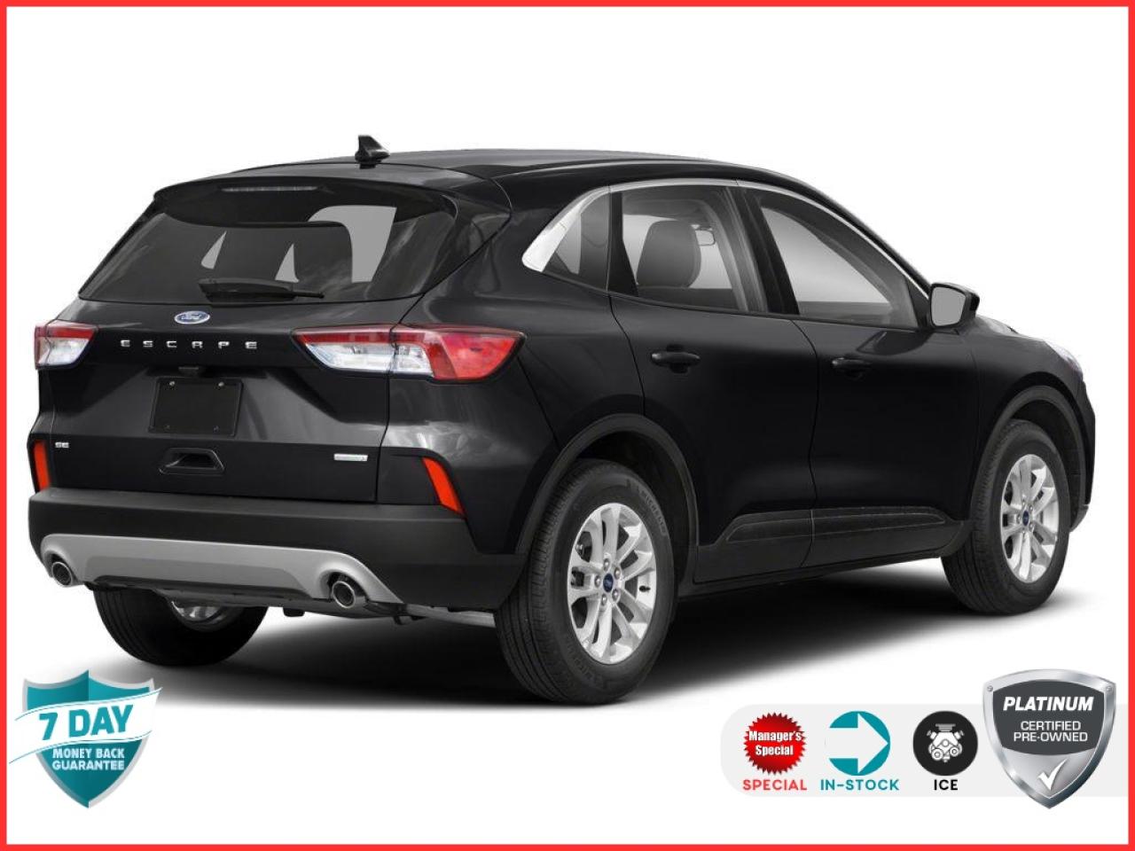 2022 Ford Escape SE 200A | SPORT PKG | COLD WT PKG | CONVENIENCE PKG Photo2