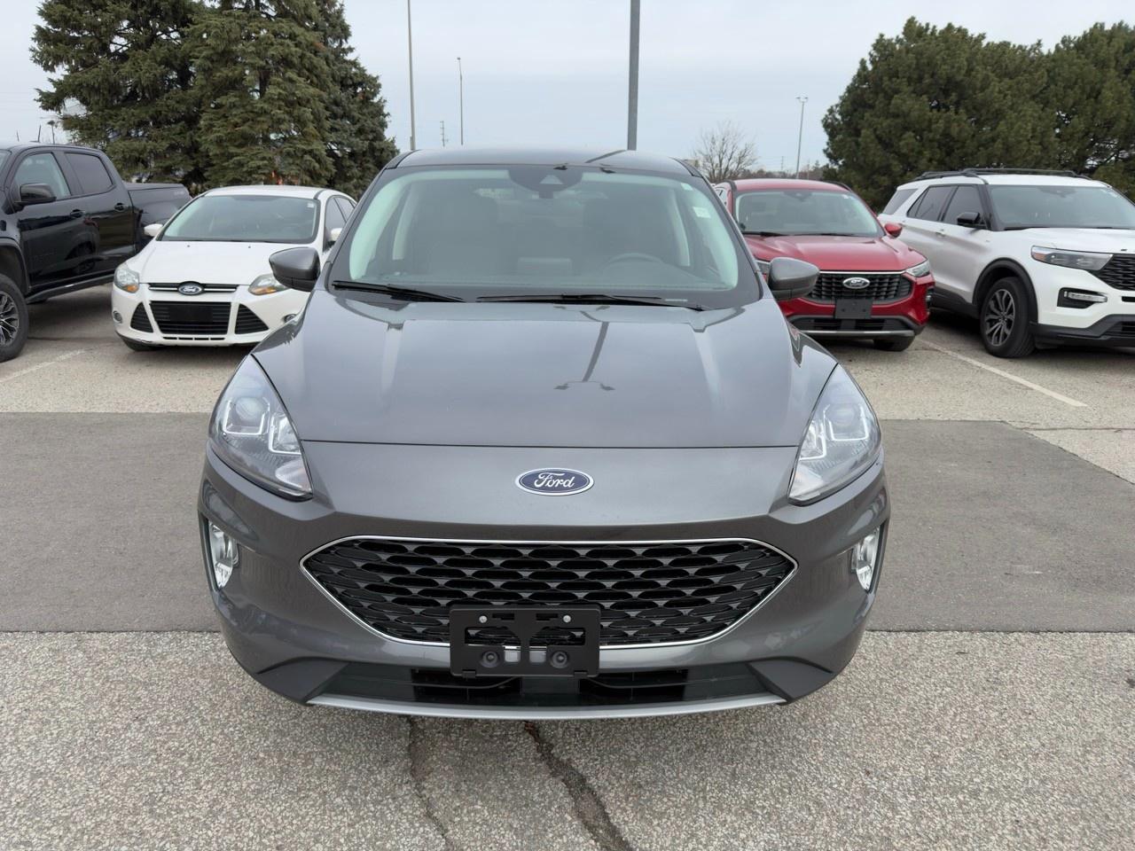 2022 Ford Escape SEL 302A|TECH PK|TOW PK|B&O|PREV DEMO|2.0L Photo