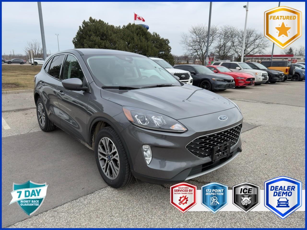 2022 Ford Escape SEL 302A|TECH PK|TOW PK|B&O|PREV DEMO|2.0L Photo
