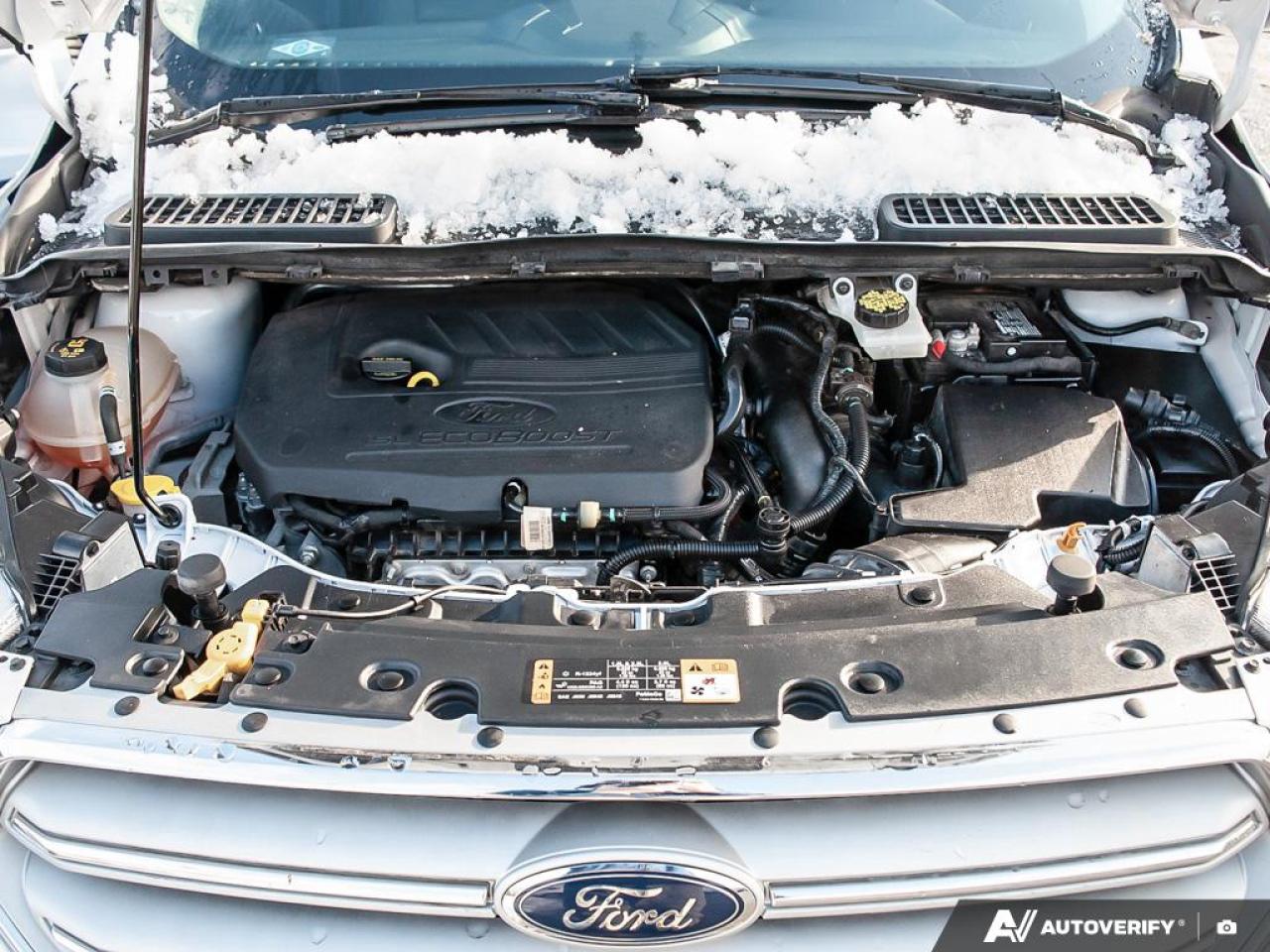 2018 Ford Escape SEL Photo