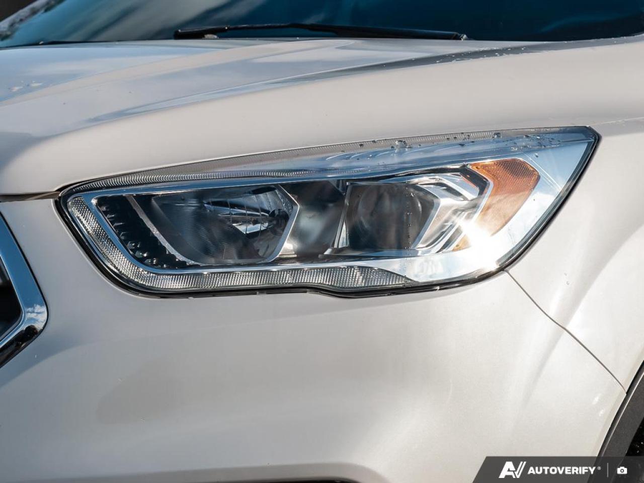 2018 Ford Escape SEL Photo