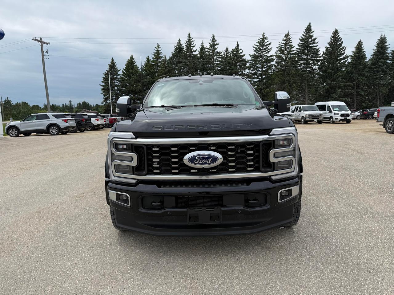 2025 Ford F-450 Super Duty DRW PLATINUM 4WD CREW CAB 8' BOX Photo2