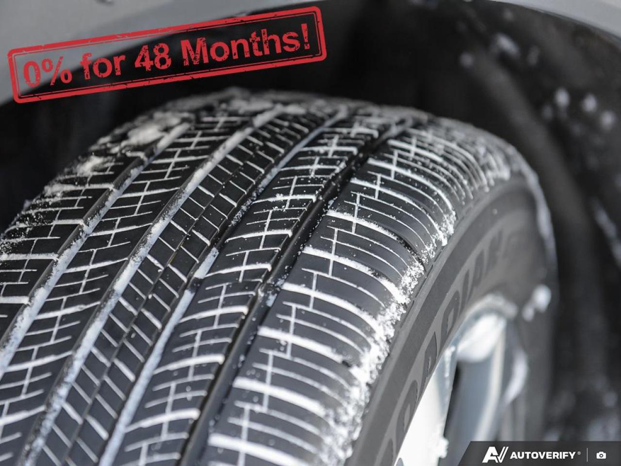 2024 Ford Escape Platinum Photo