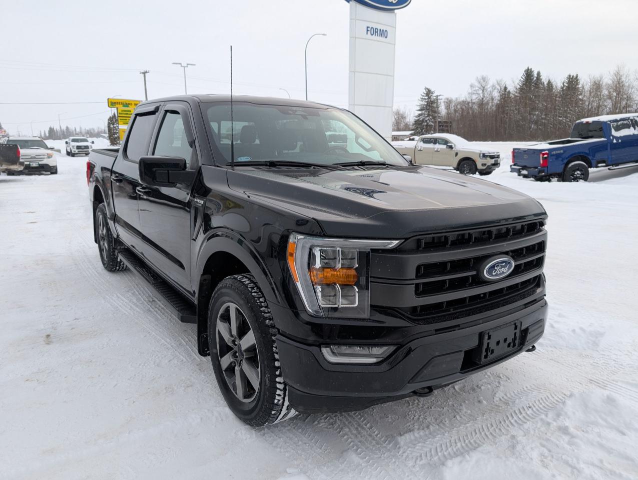 2022 Ford F-150 Lariat Photo3