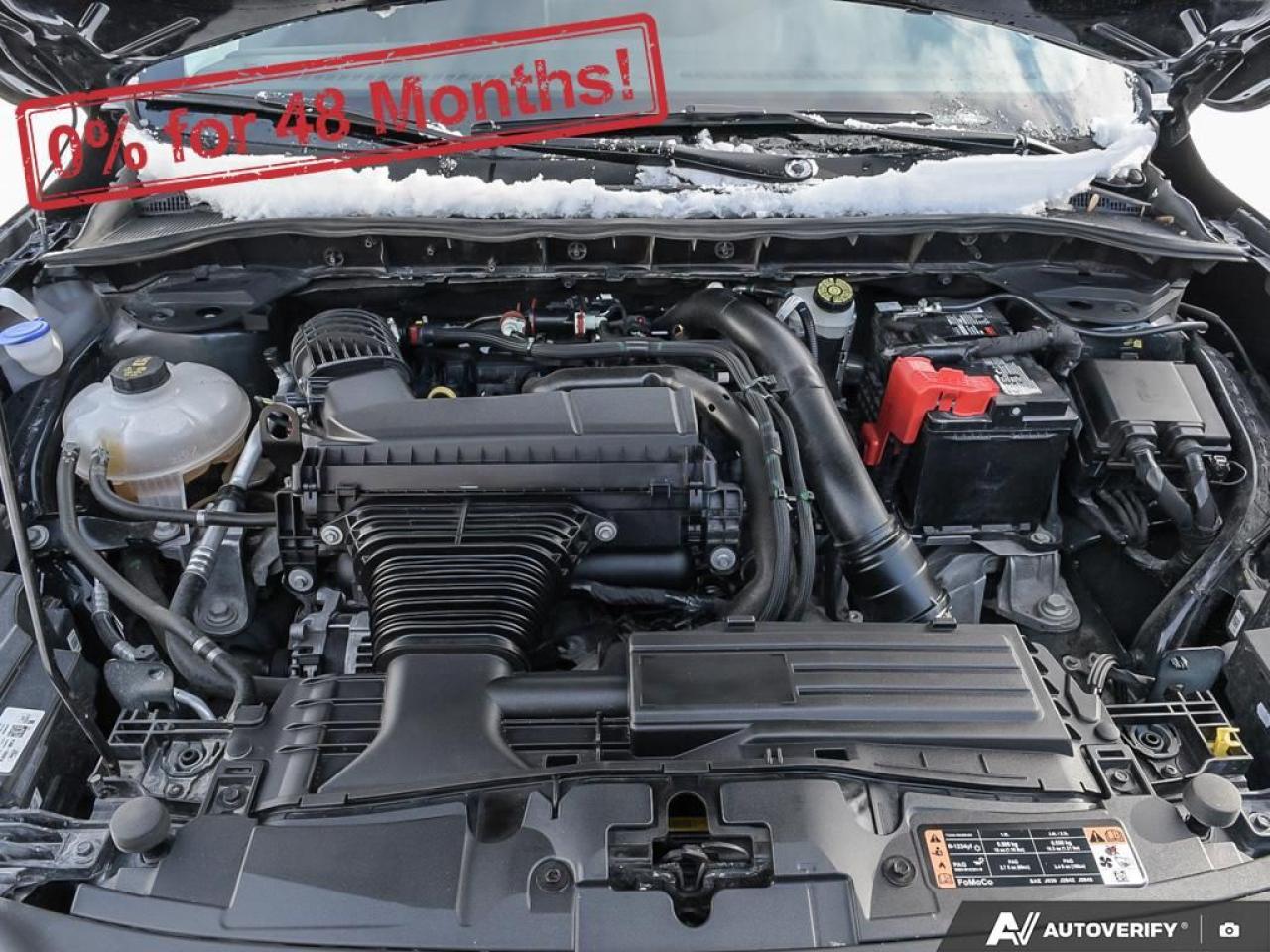 2024 Ford Escape Platinum Photo